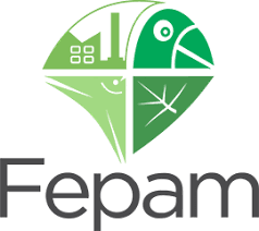 FEPAM